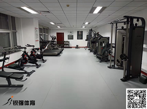 济南某集团采购的KY开元888提供的健身器材